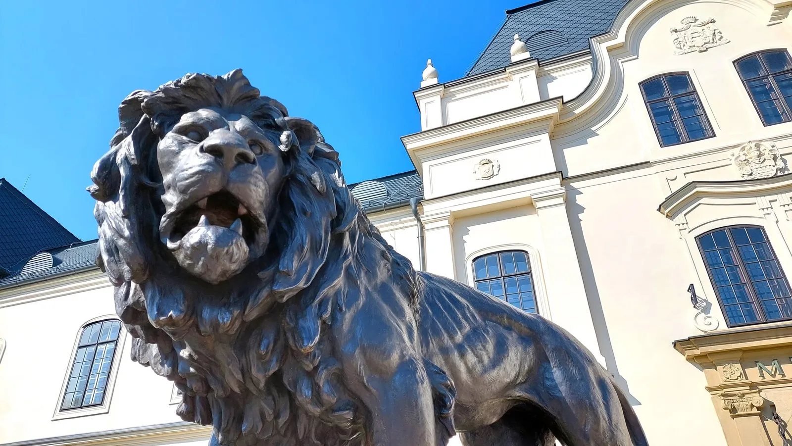 Detail bronzovej sochy leva s otvorenou papuľou a fasáda humenského kaštieľa v pozadí